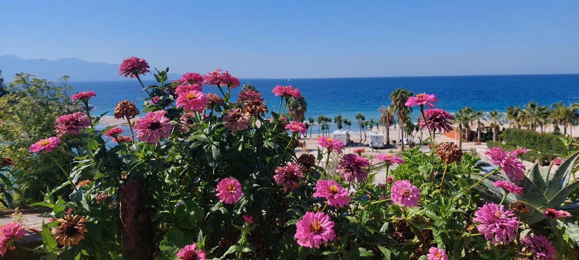Apartment Tinka In Saranda Екстер'єр фото